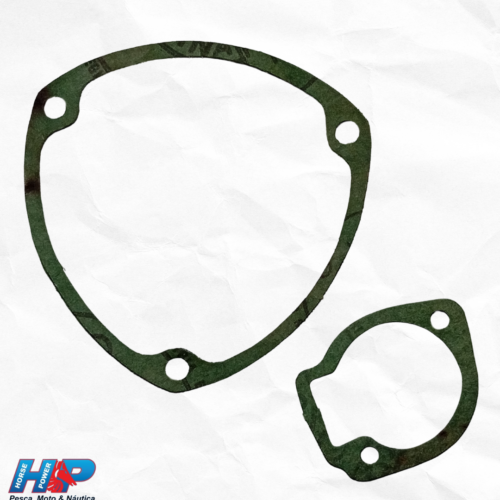 Jogo de Juntas Walk Machine Valflex