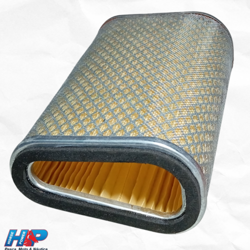 Filtro de Ar Hornet 2008 em Diante Filtran