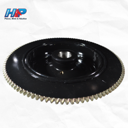 Rotor do magneto 200fetol original (nautica-6R3855500000