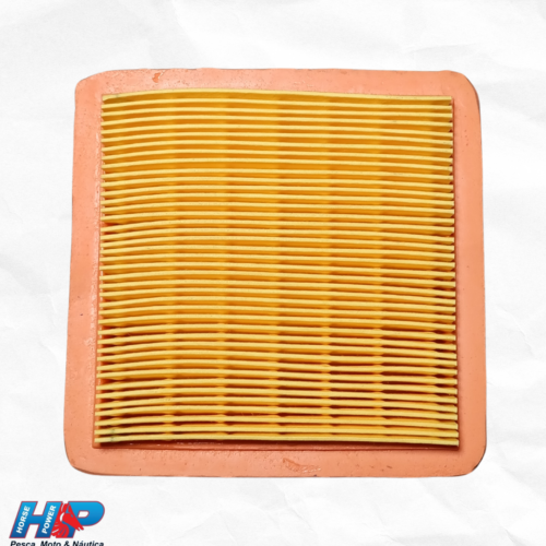 Filtro de Ar Biz 125 Até 2010 Gold
