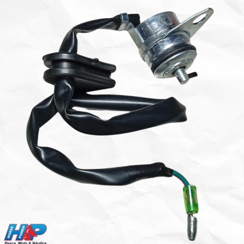 Interruptor de Neutro Biz 100 2013 em Diante Paralelo