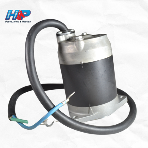 Motor do Sistema de Inclinação (Conjunto - Usado)