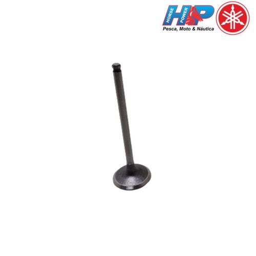 Válvula Admissão Titan 150 2009 Original