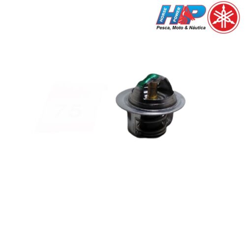 Termostato/Válvula do Radiador XT660 (Original Yamaha)