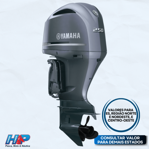 Motor de popa Yamaha FL250 LETX