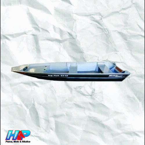 Barco Big Fish 5016