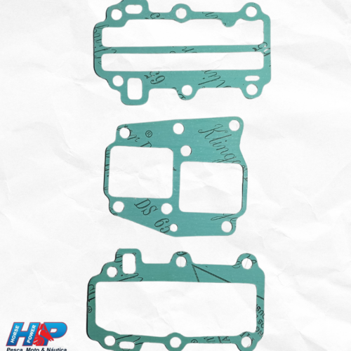 Jogo de Juntas Johnson Evinrude 7.5 8HP Náutico