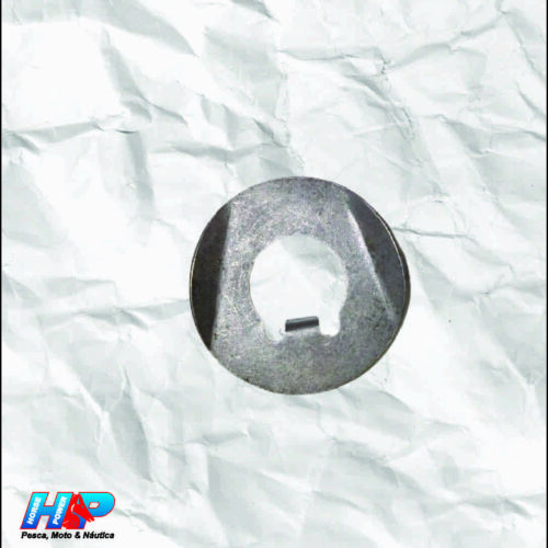 Arruela Trava Eixo Balanceiro FAZER (Original Yamaha)