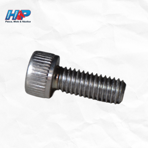 Parafuso wr450f/r1/virago original (allen 6x2)-913160601600