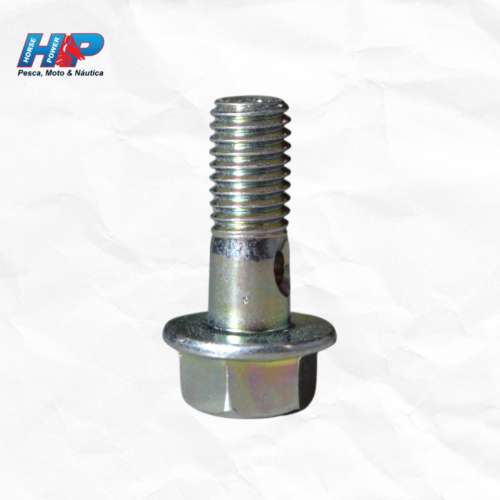 PARAFUSO CONDUTOR OLEO FAZER SUPERIOR (CILINDRO)ORIGINAL-904010800700