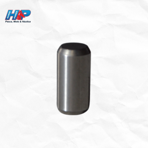 PINO GUIA ALOJAMENTO BOMBA AGUA F150 ORIGINAL-936061201900