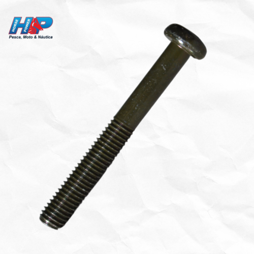 Parafuso fixacao interruptor guidao factor lado direito orig-985070504000