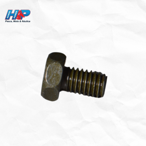 Parafuso protetor escapamento interno neo original-970170601000