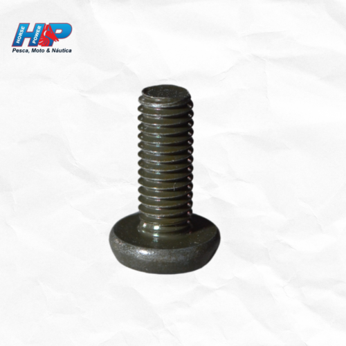 Parafuso Tampa Lateral LANDER LD (Original Yamaha)