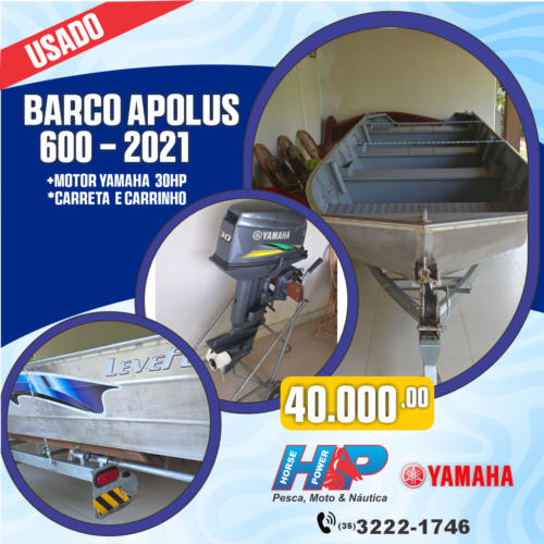 Barco Apolus 600 - 2021