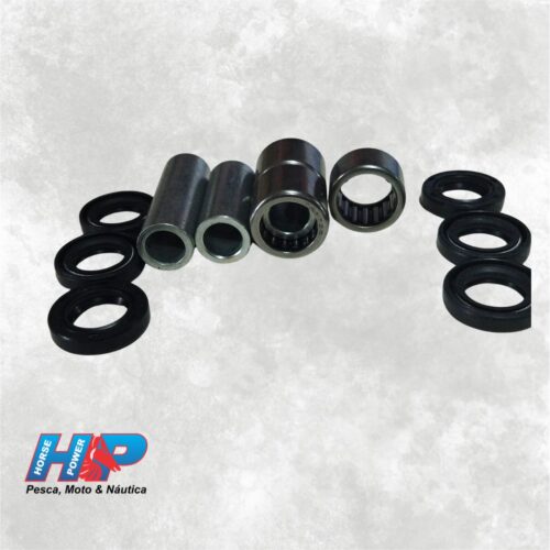 Bucha/Rolamentos Pro Link FAZER250
