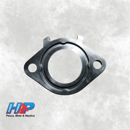 Junção Coletor Admissão Yamaha FAZER 150 (Original)